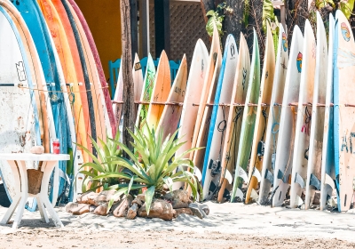 Lined-up-surfboards