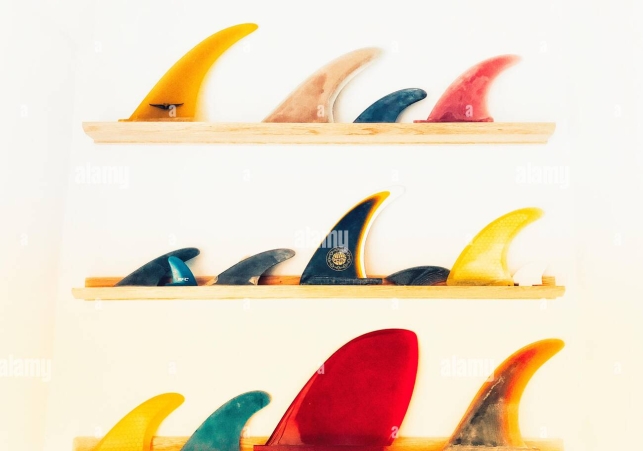 vintage-colourful-surfboard-fins-all-shapes-and-sizes-arranged-in-a-display-S291XW